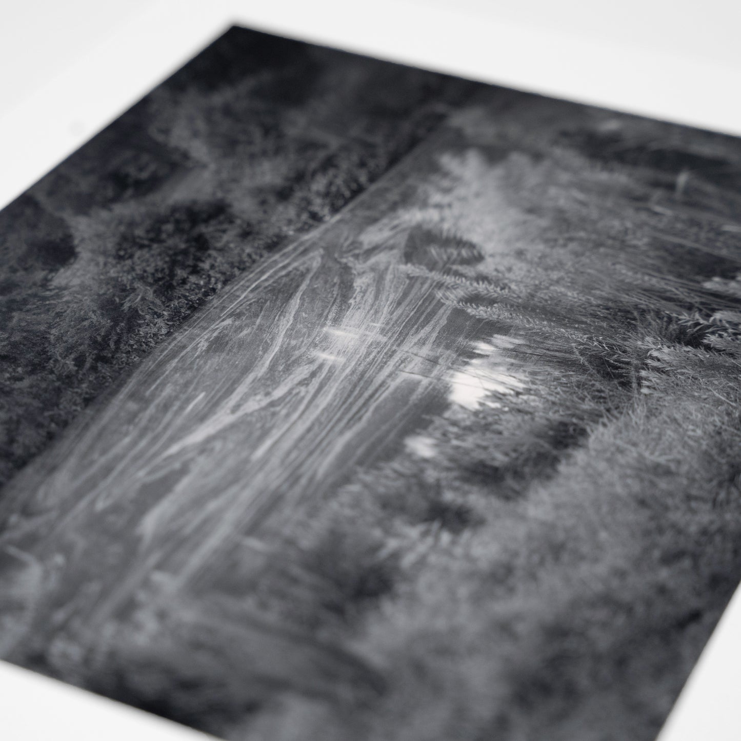 Limited Edition Print | Mark Cáceres
