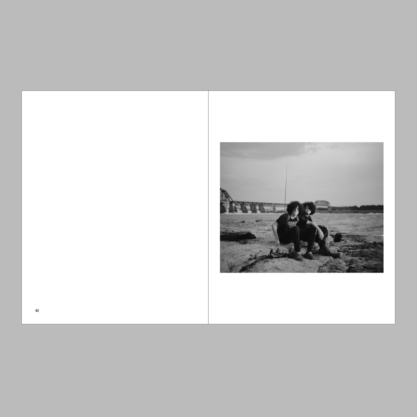 New South, Volume II: Double Vision