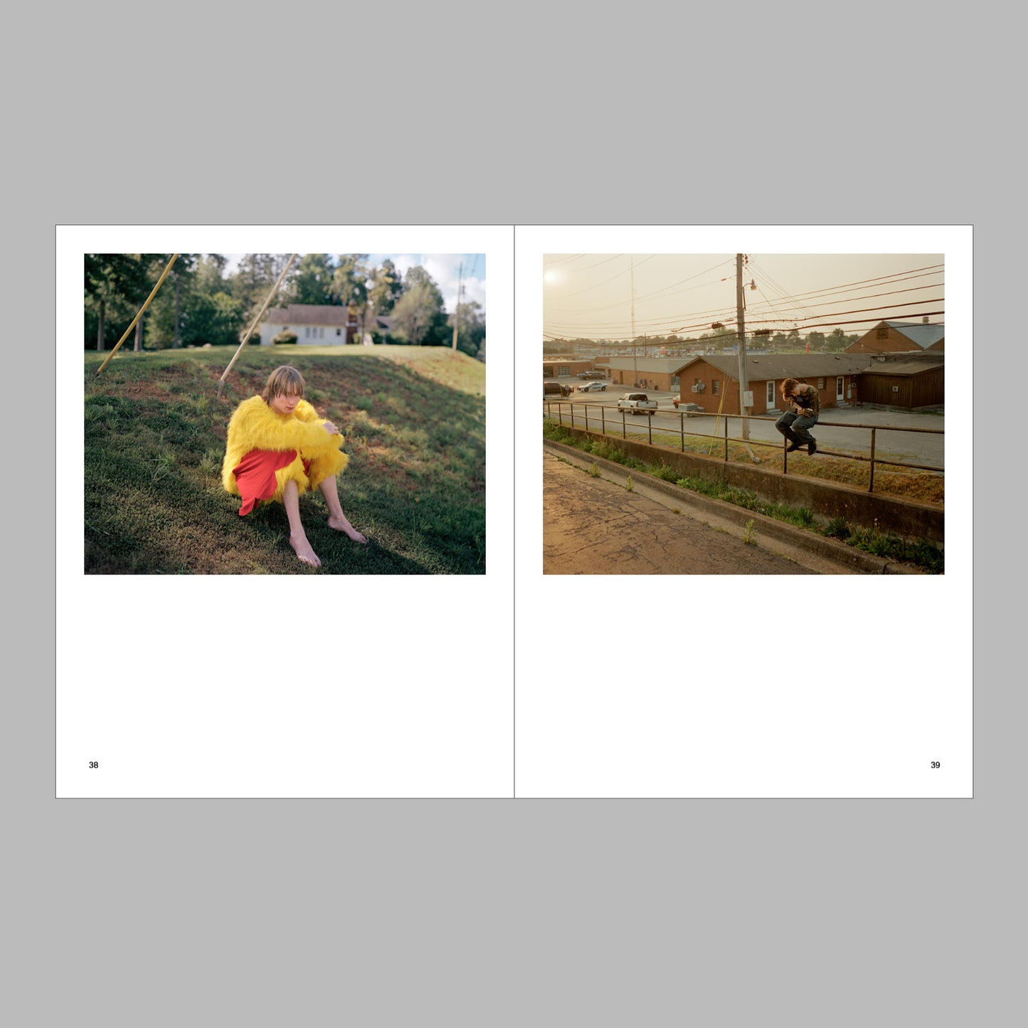 New South, Volume II: Double Vision