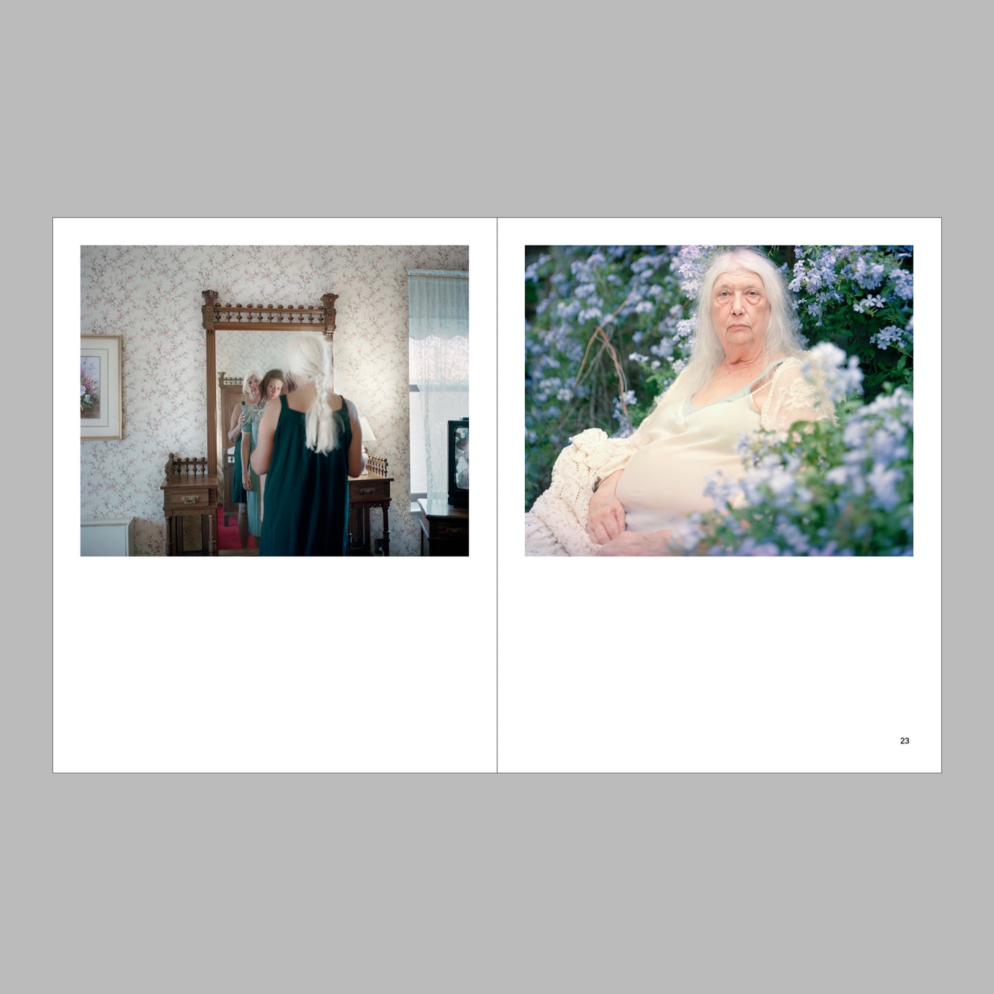 New South, Volume II: Double Vision