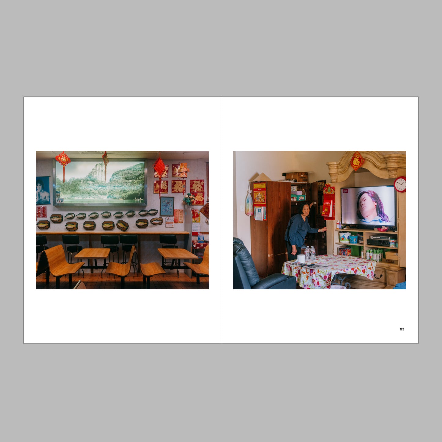 New South, Volume II: Double Vision