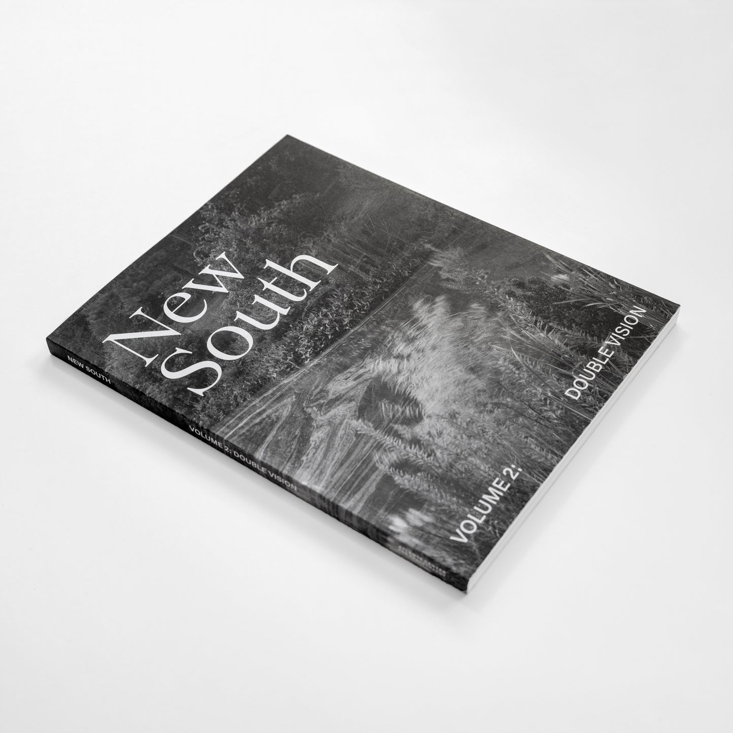 New South, Volume II: Double Vision