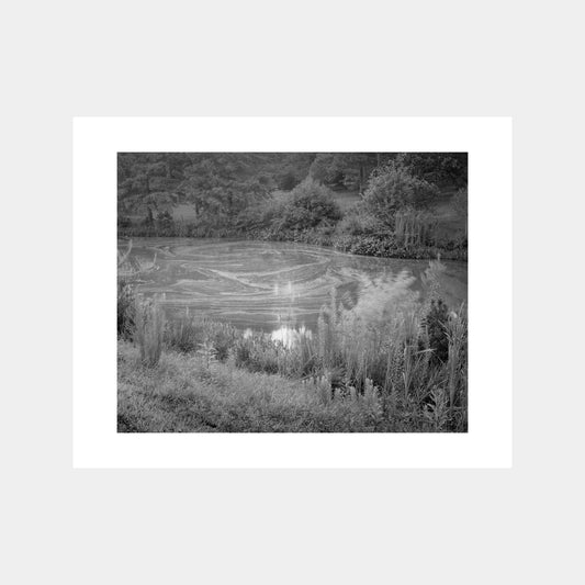 Limited Edition Print | Mark Cáceres