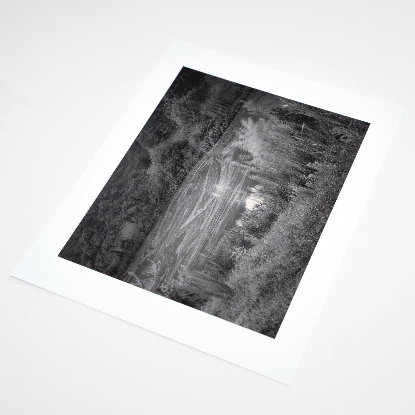 Limited Edition Print | Mark Cáceres