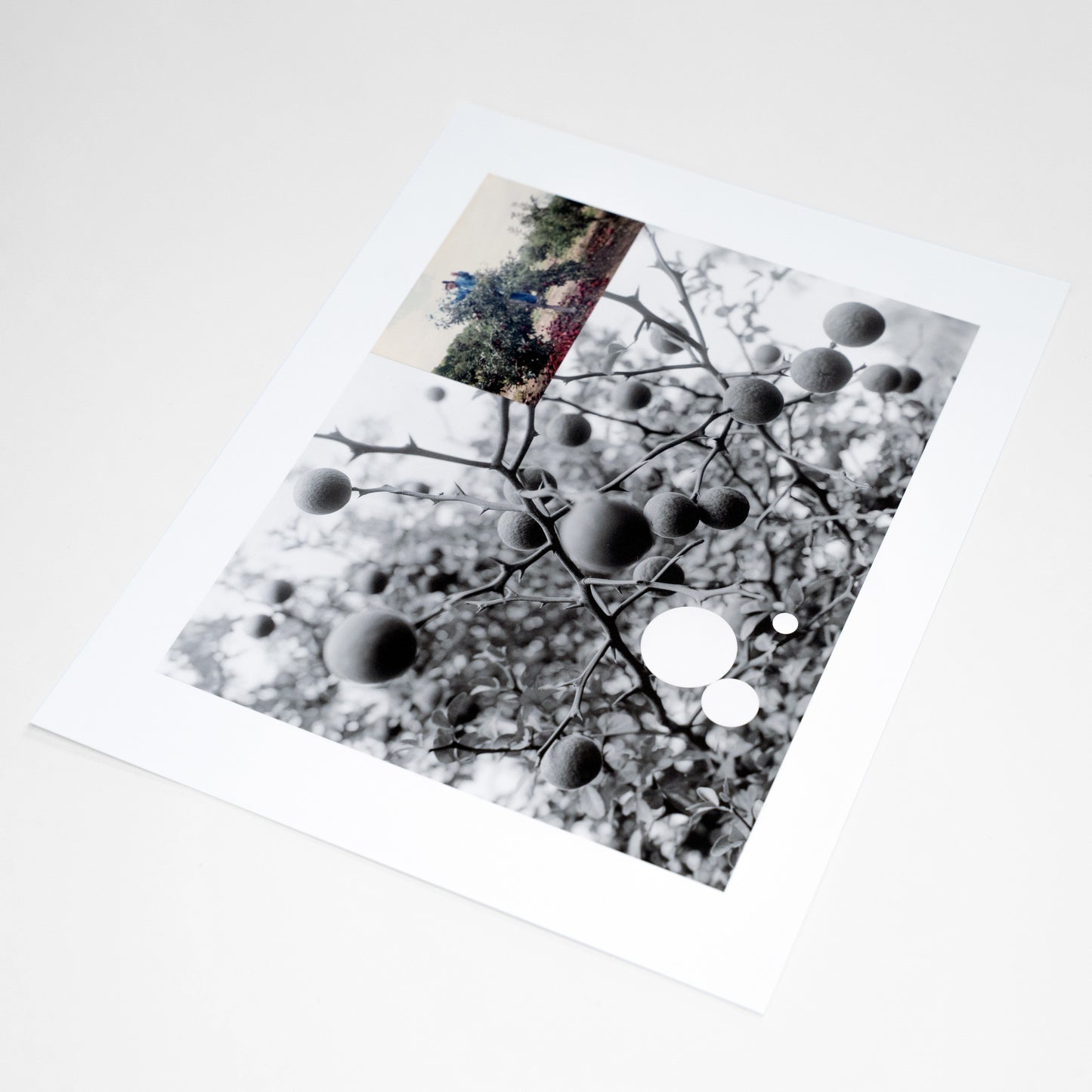 Limited Edition Print | Ryan Frigillana