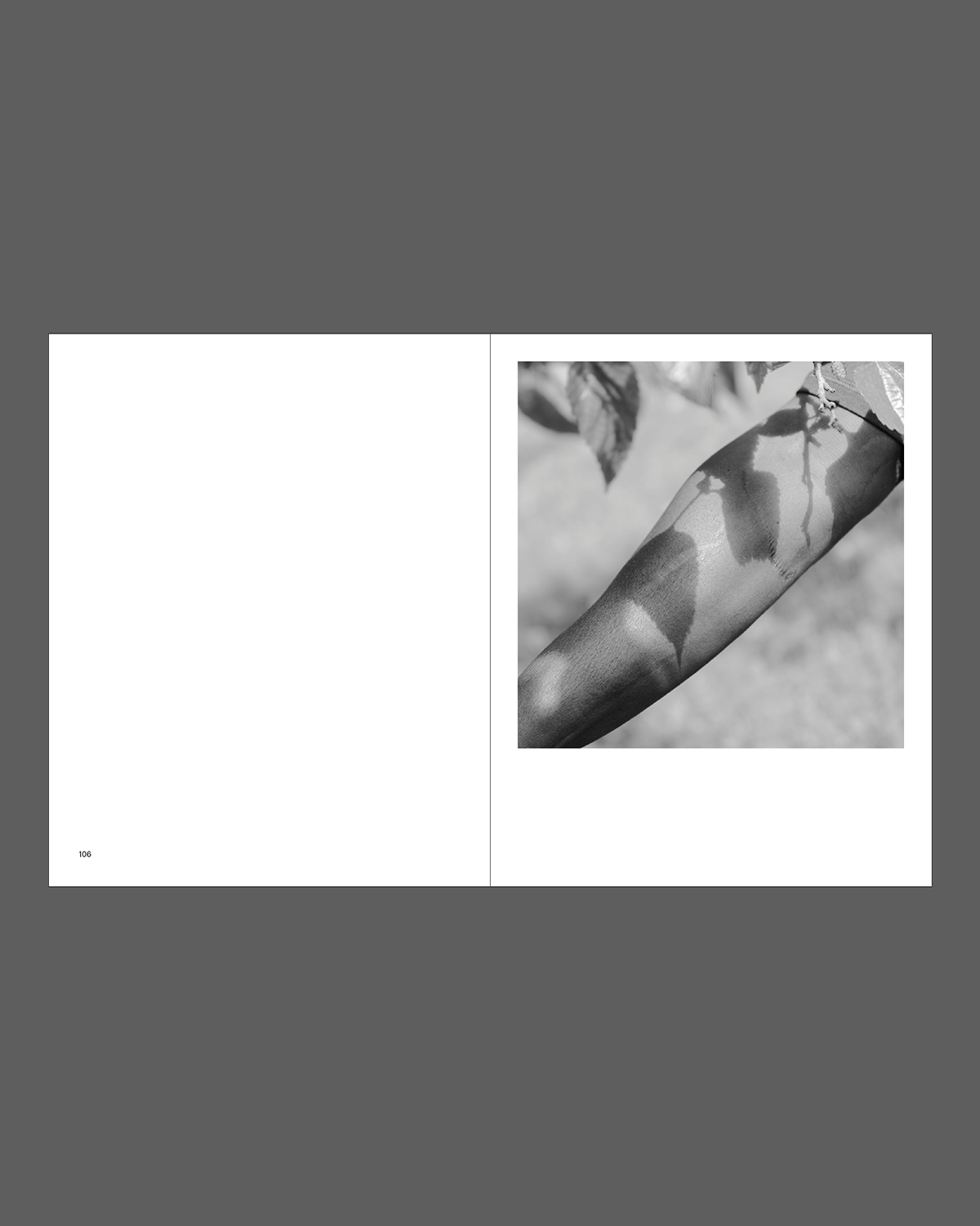New South, Volume III: Hunters & Gatherers