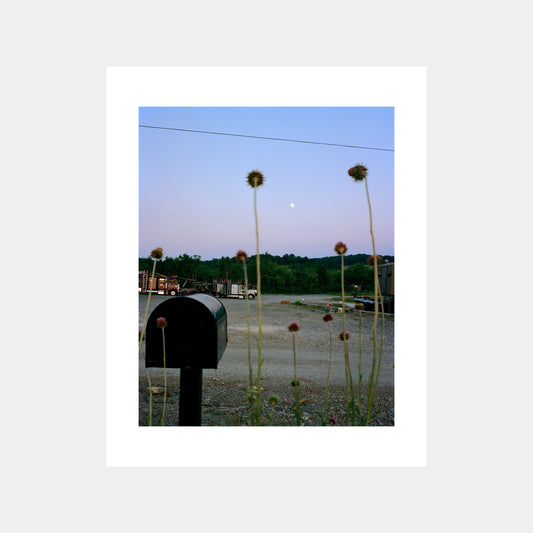 Limited Edition Print | Ian Edward White